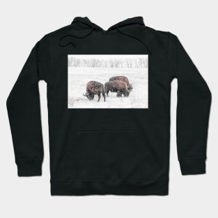 Frosty Bison Trio Hoodie